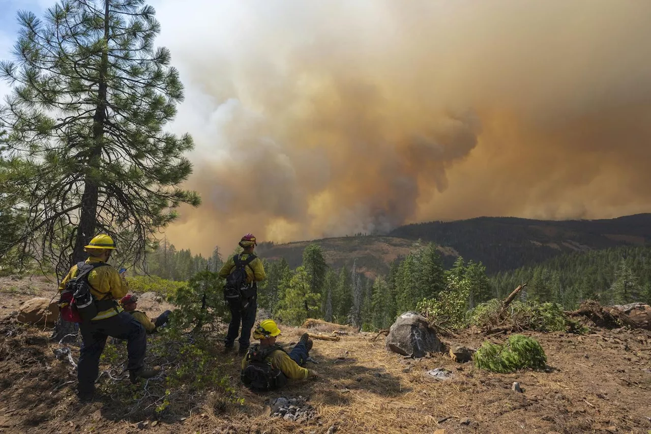 Feux de forêt : la Californie et le Canada sinistrés par des incendies géants