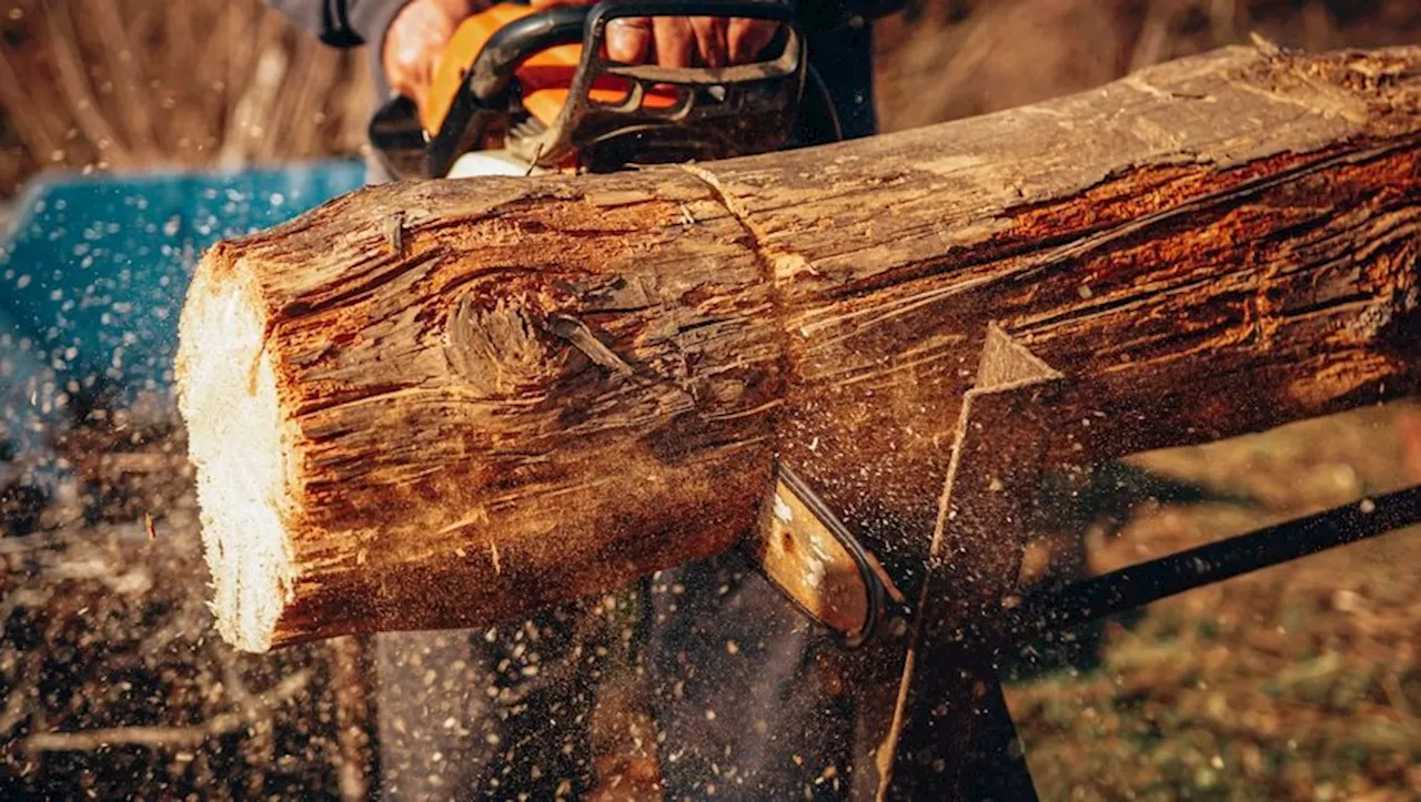 Légère et efficace, cette tronçonneuse Husqvarna à essence tombe sous les 290 euros sur Amazon