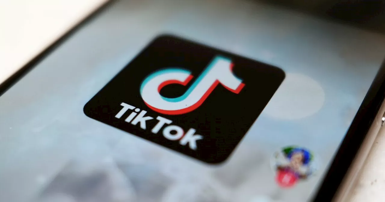 La nueva función de TikTok que copia a una de Shazam y Google