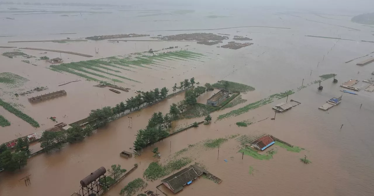 Corée du Nord: Kim Jong-un supervise une opération de sauvetage après des inondations