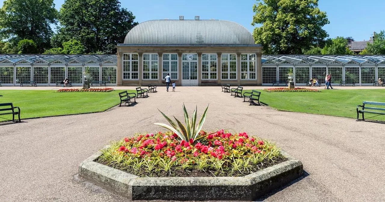 Heatwave set to hit Yorkshire as Met Office says weather 'meets criteria'