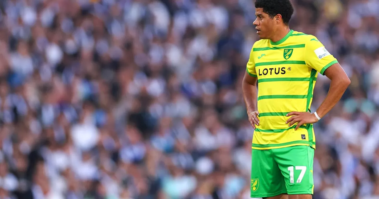 Leeds United reportedly in five-way transfer battle to land Norwich City star