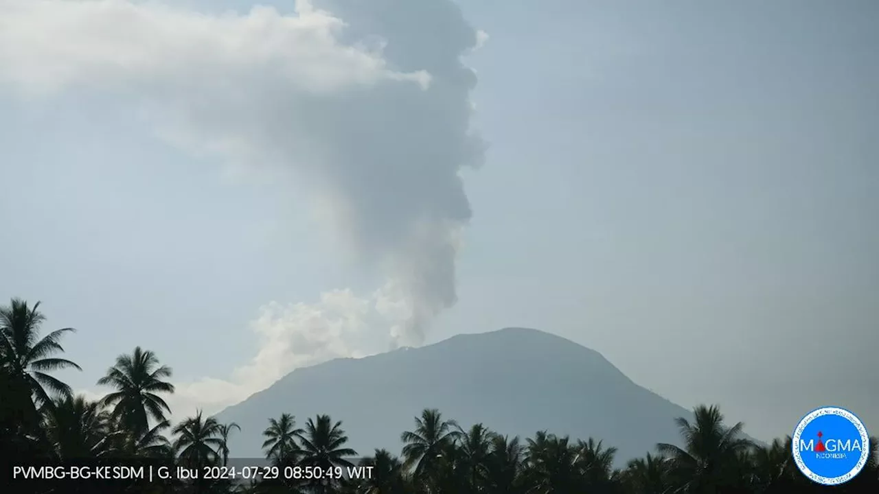 Gunung Ibu Meletus Lagi Senin Pagi 29 Juli 2024, Kolom Abu Capai 1.500 Meter