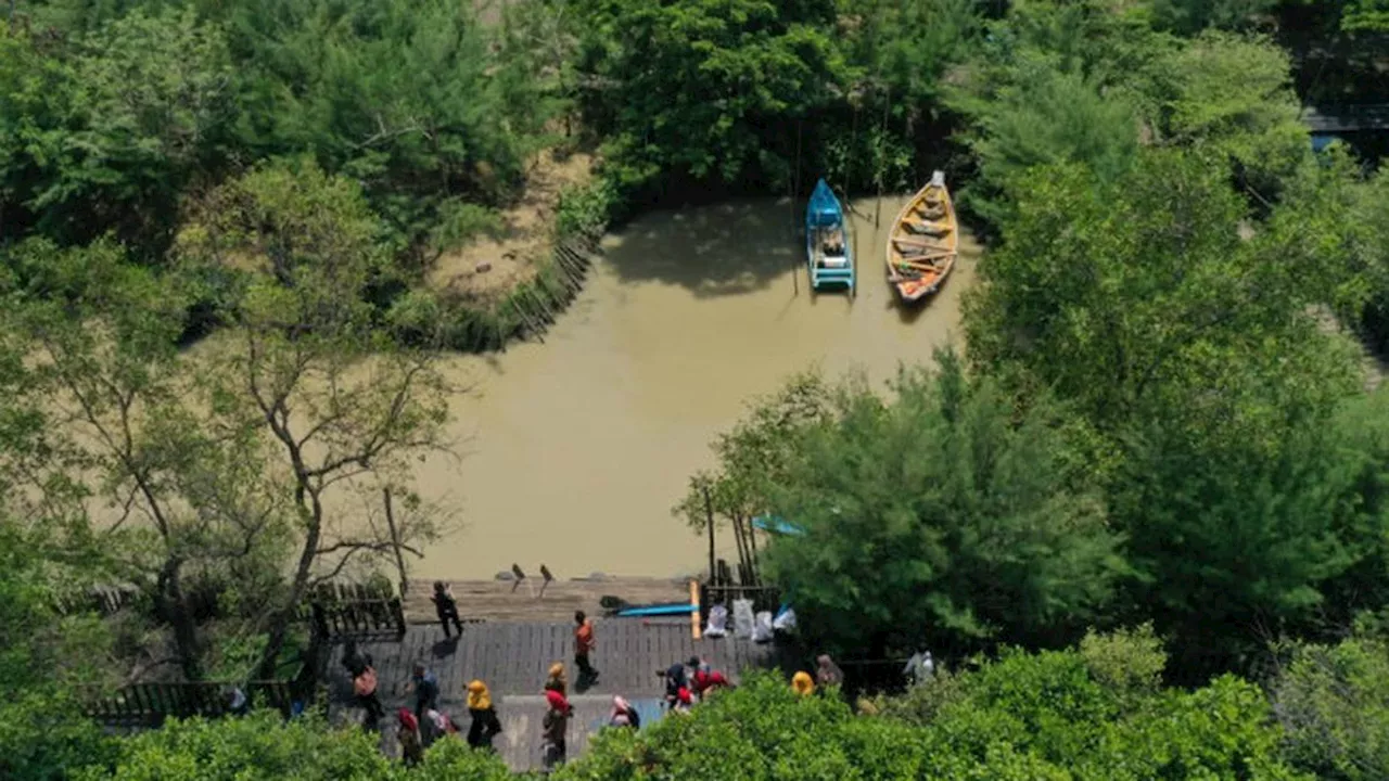 Pemkot Surabaya Siapkan Science Center di Kebun Raya Mangrove