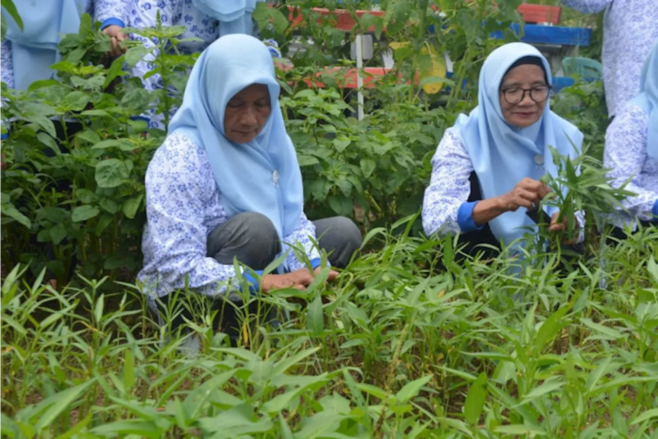 Kelompok Wanita Tani Kemuning Sukses Angkat Pendapatan Masyarakat