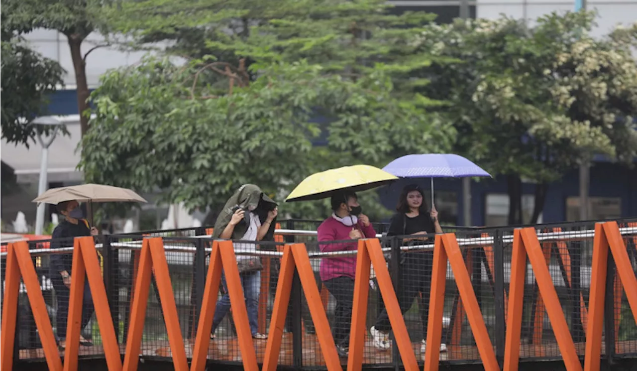 Prakiraan Cuaca Selasa 307, Mayoritas Kota Besar di Indonesia Diguyur Hujan