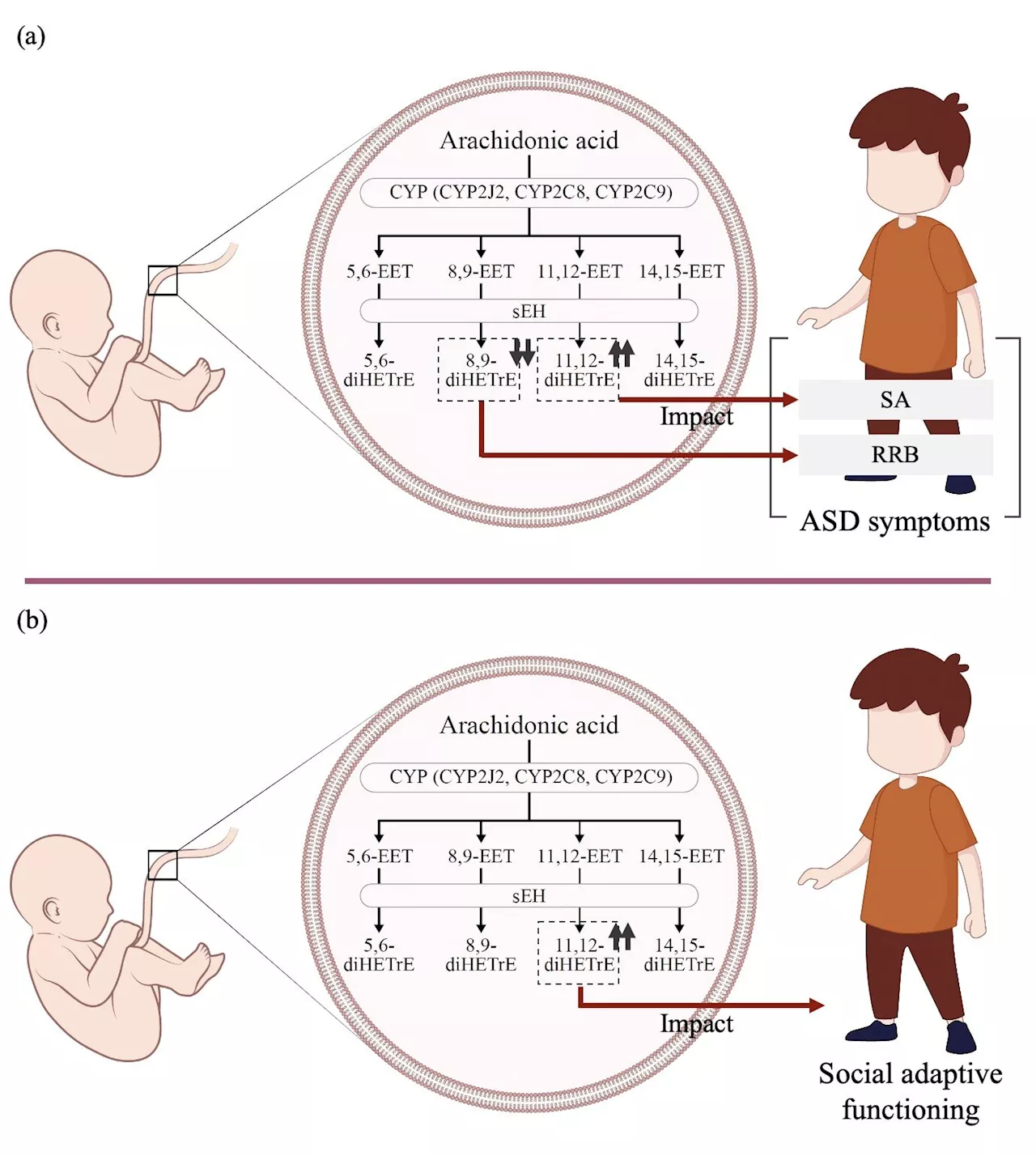 Fatty acids in umbilical cord blood might cause autism spectrum disorder