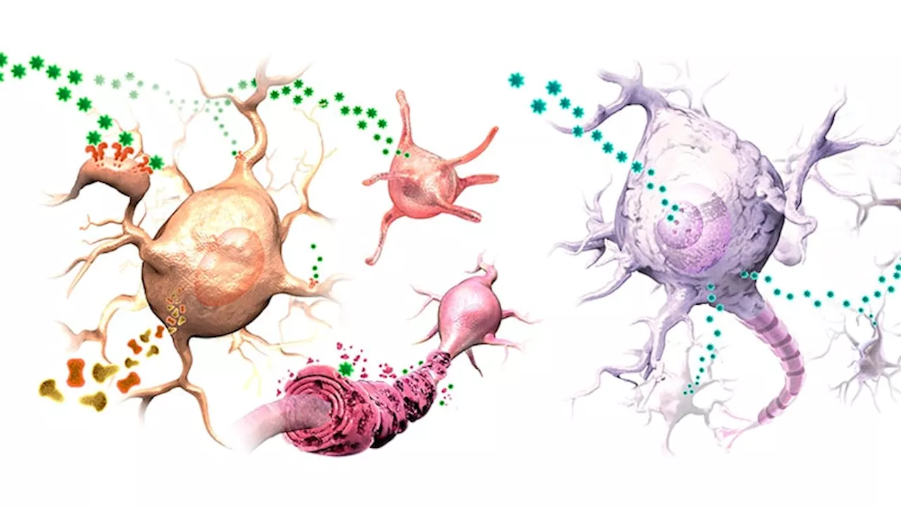 Ancient Viruses in Our DNA Hold Clues to Cancer Treatment