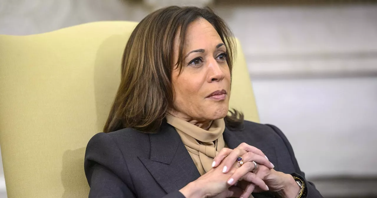 Kamala Harris' search for vice president should take the long view