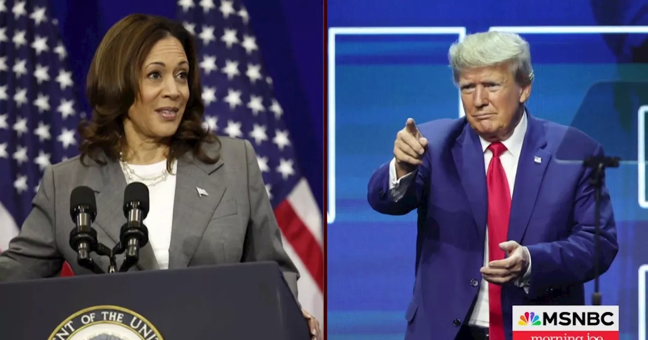 'She was a bum, a failed Vice President': Trump uses pointed words against Harris