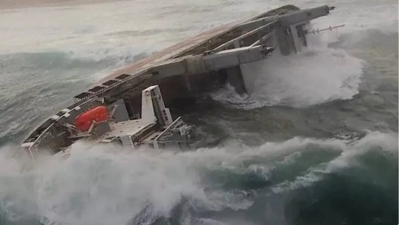 Seabird rescue team readies itself after grounded vessel causes West Coast oil spill