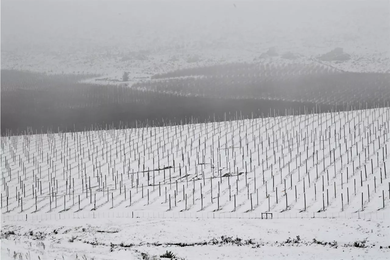 Snow and icy conditions for Western, Northern Cape