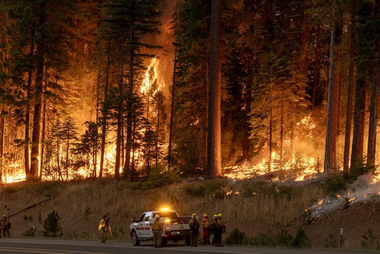 California Park Fire Becomes One of State's Largest Blazes in History