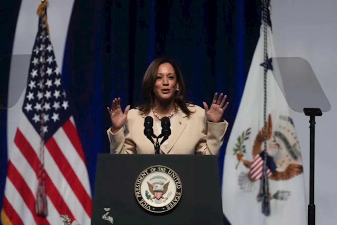 “Gewoon raar”: Kamala Harris geeft nog maar één antwoord als het over Trump gaat