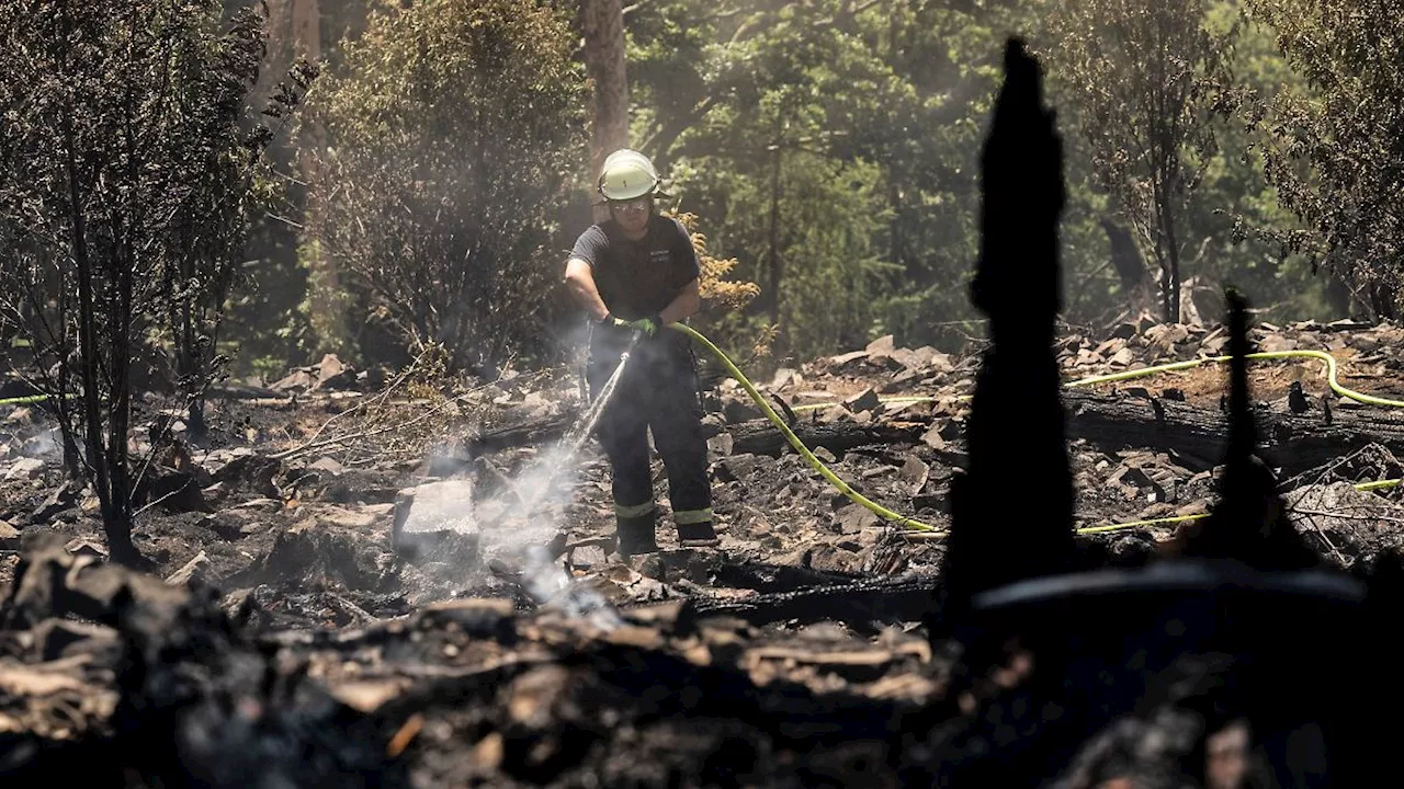 Hessen: Digitale Karten für Waldbrandbekämpfung starten in Hessen