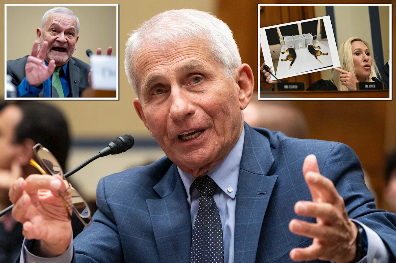  Fauci accused of lying to Congress, using private email with 'Beaglegate' journalist
