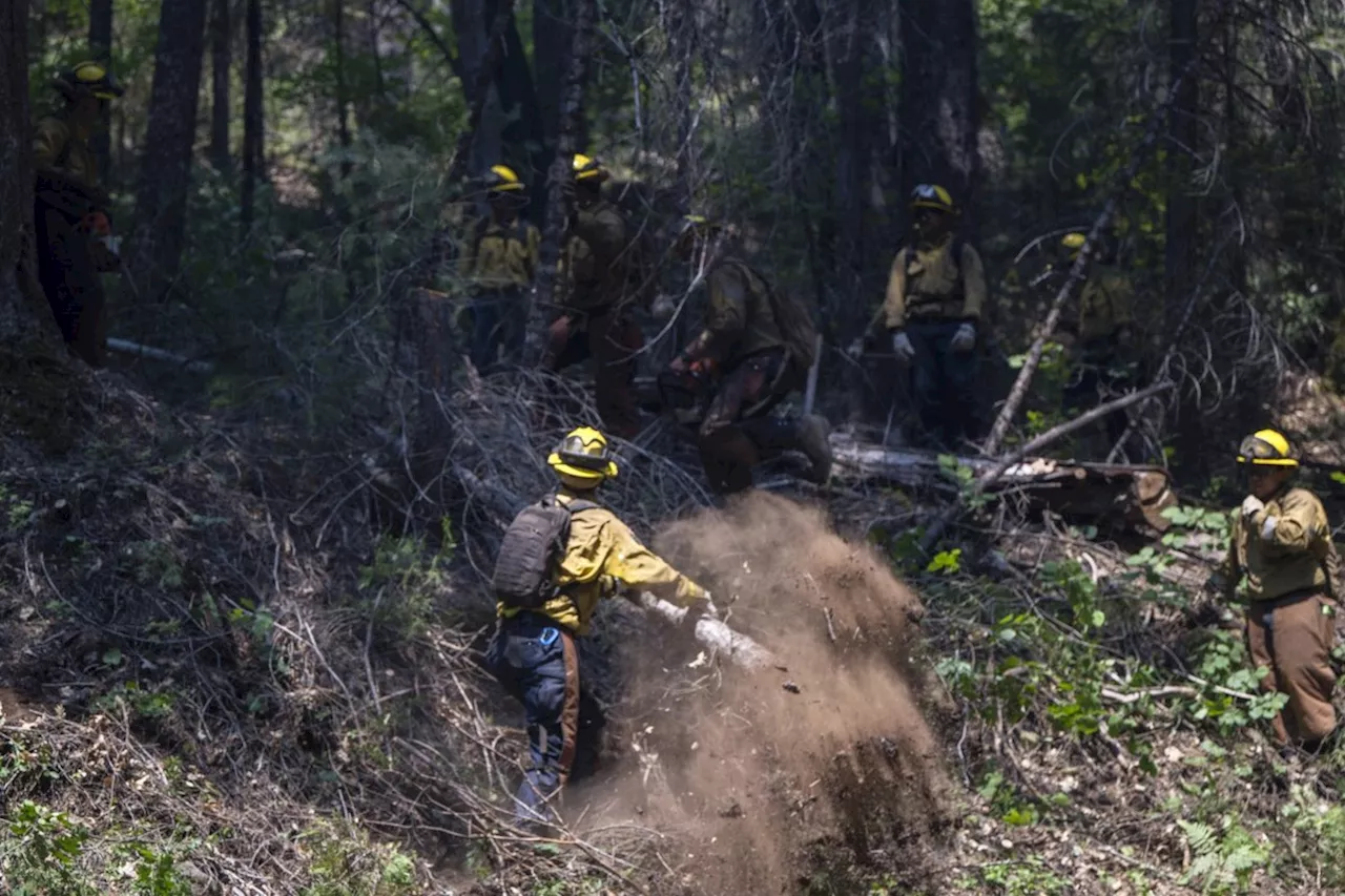 California firefighters make progress as wildfires push devastation and spread smoke across US West