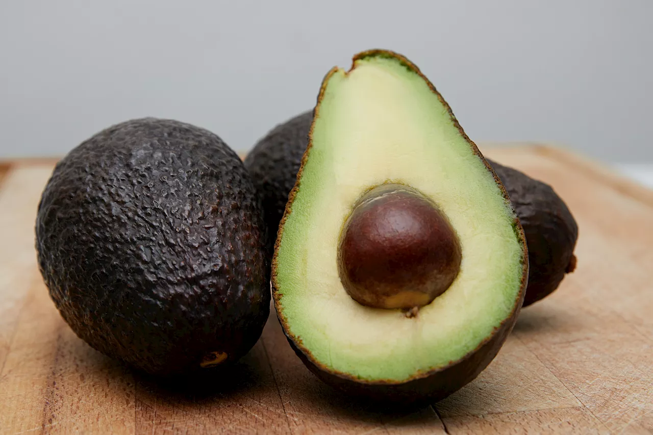 Avocado genome assembled: Uncovering disease resistance and fatty acid secrets