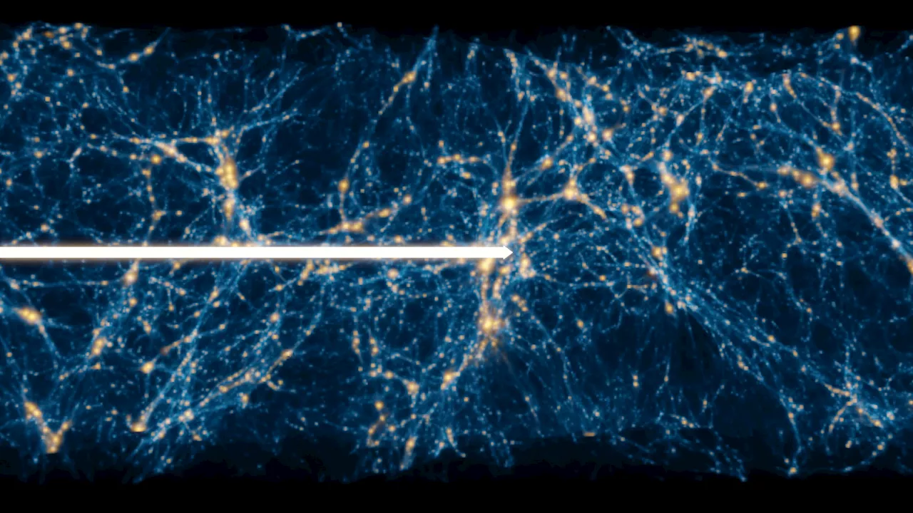 Dark matter seen through forest: Study examines matter distribution and supports unknown influence or new particle