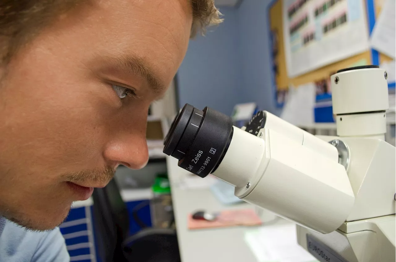 Study reveals young scientists face career hurdles in interdisciplinary research