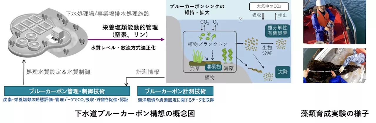 「下水道展'24東京」と「Hitachi Social Innovation Forum 2024 JAPAN」で、「下水道ブルーカーボン構想」の取り組みを紹介します