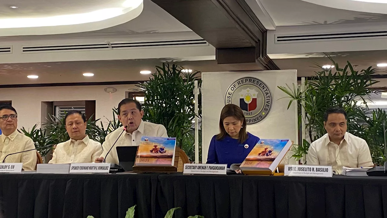 Budget cycle begins in Congress as DBM hands over proposed 2025 gov’t funding