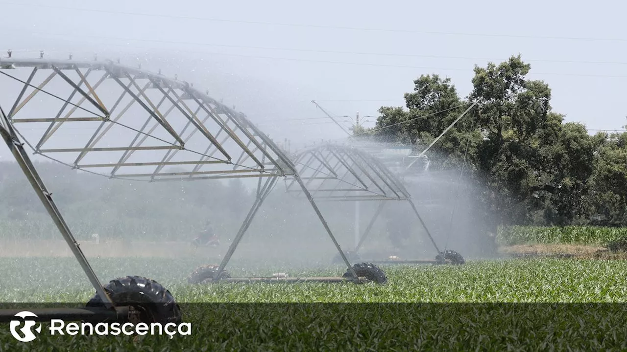 CAP diz que é inaceitável aplicação de taxas para a água de utilização agrícola