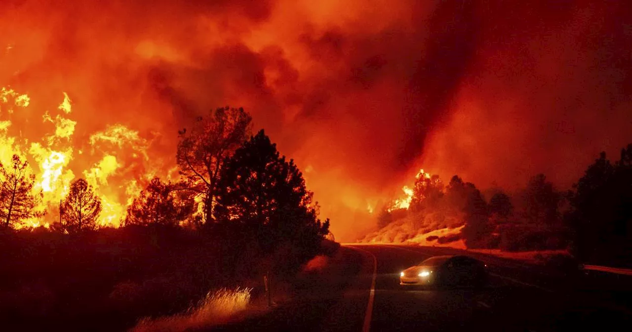 „Park“-Feuer​ in Kalifornien: Waldbrand zerstört Dutzende Häuser​