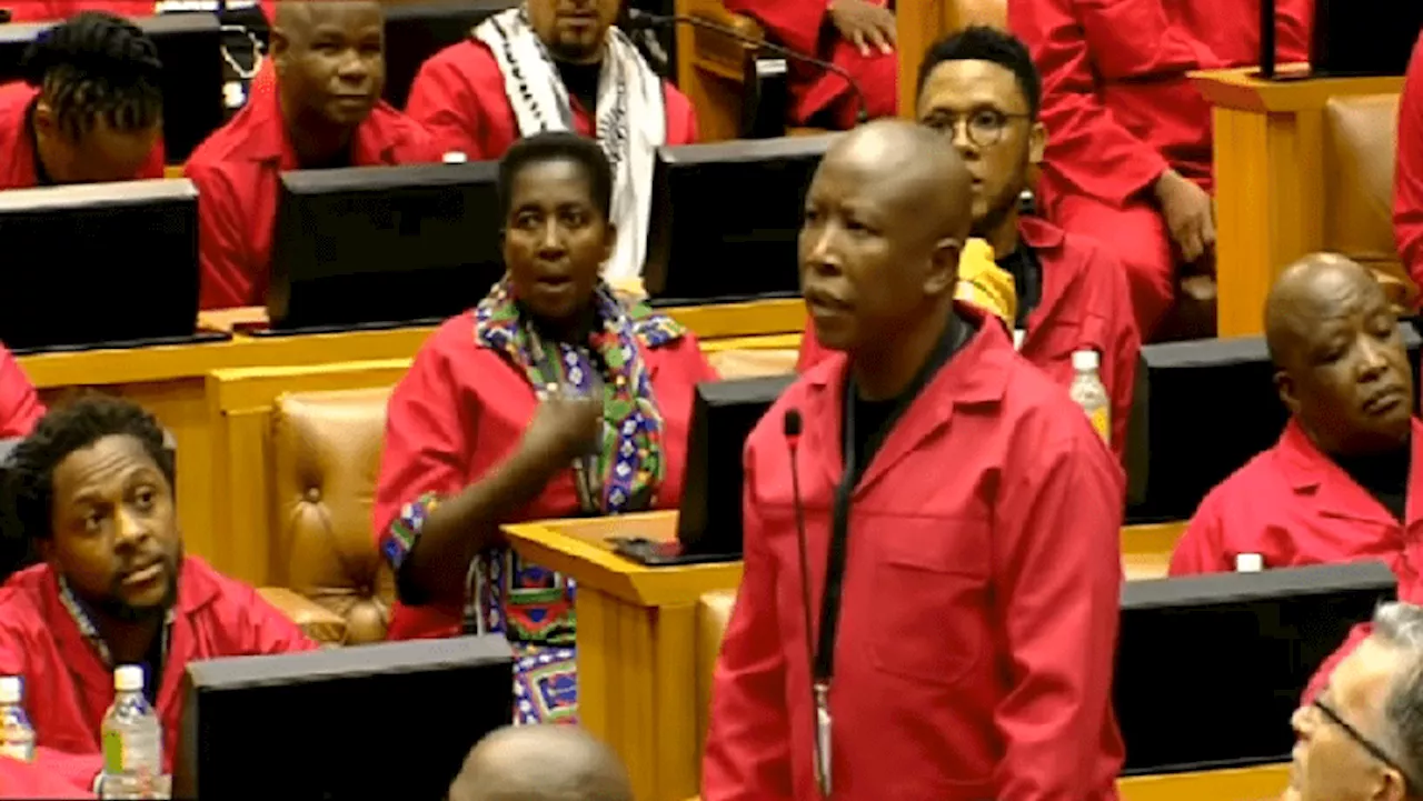 EFF's legal challenge over Parly suspension faces dismissal - SABC News