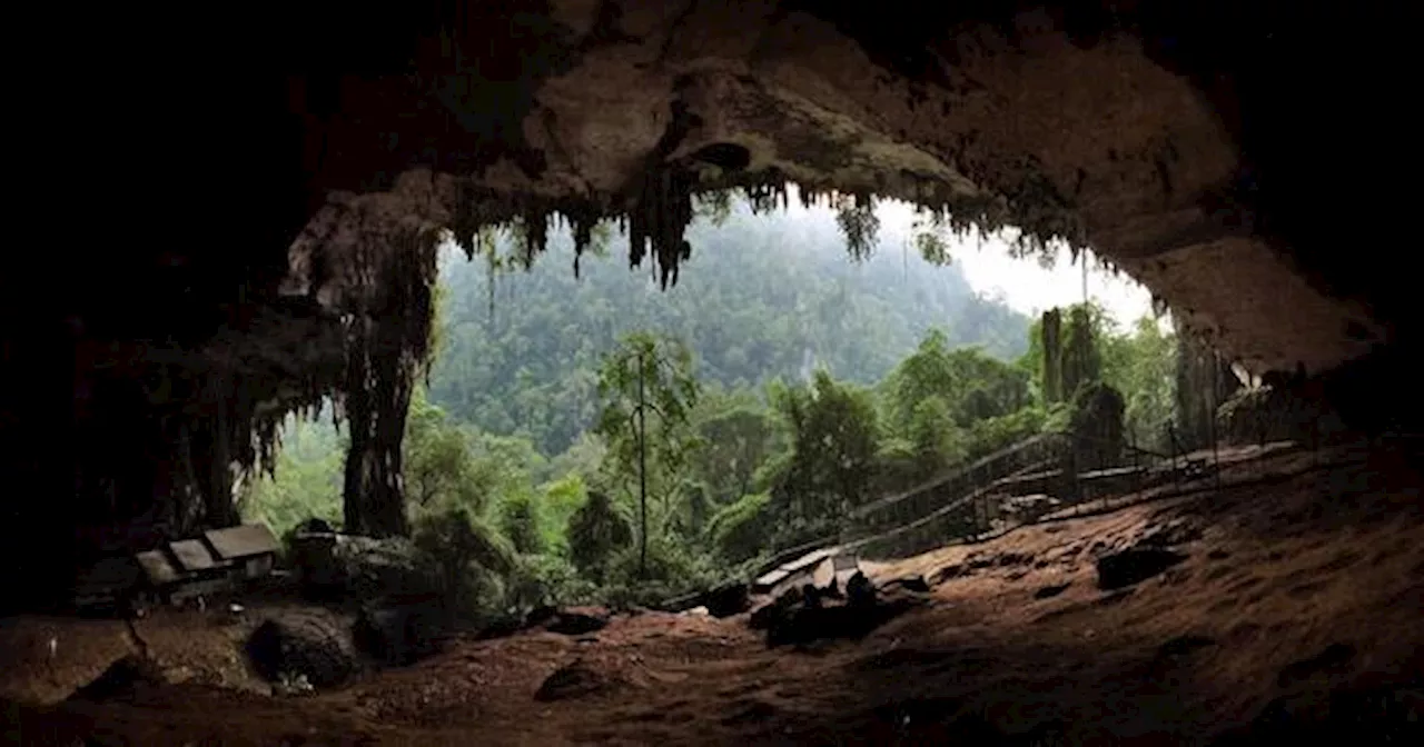 Sarawak's Gua Niah Officially Recognised As A UNESCO World Heritage Site