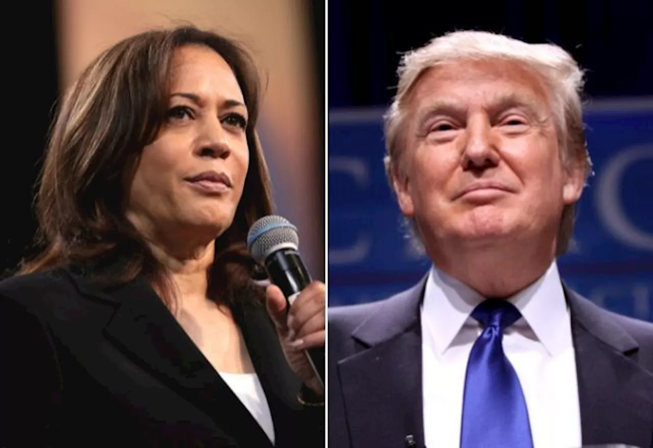 Kamala e Trump aparecem empatados em estados decisivos das eleições americanas