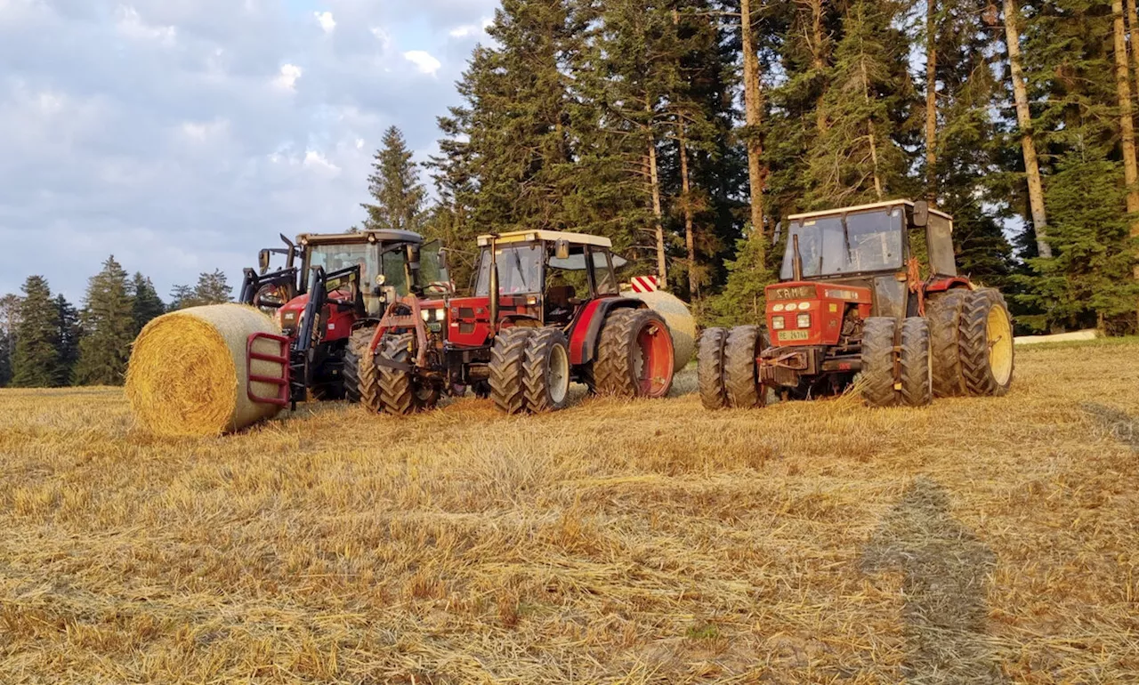 Grandiose Stimmung während der Ernte