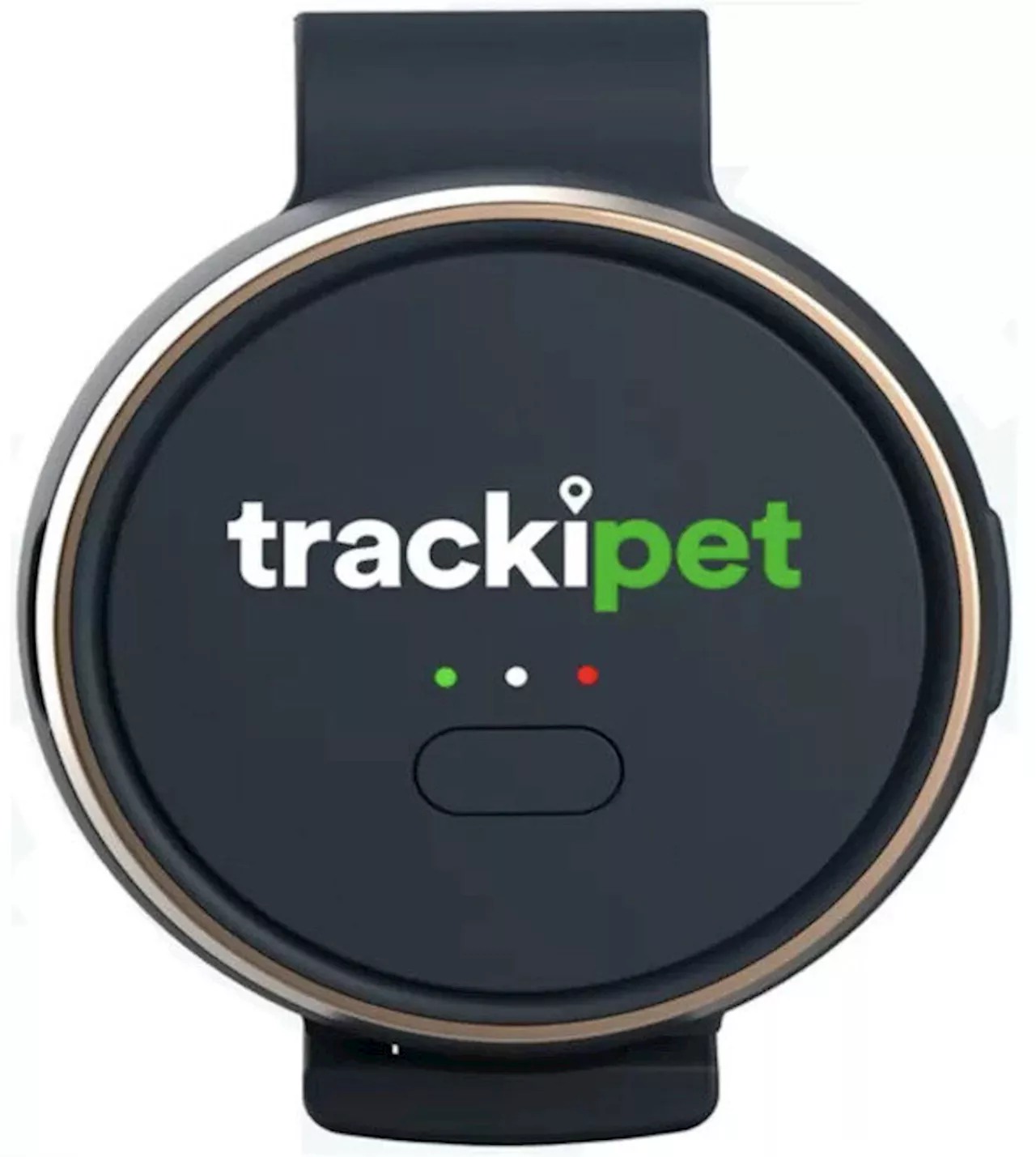 SIM内蔵のペット向けGPS端末「TrackiPet」発売 ペットが逃げ出したら5秒間隔でトラッキング（2024年7月29日）｜BIGLOBEニュース