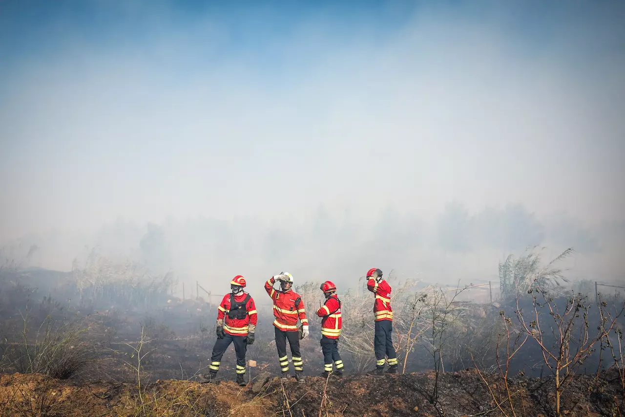 Perigo máximo de incêndio rural em mais de 40 concelhos de Portugal Continental