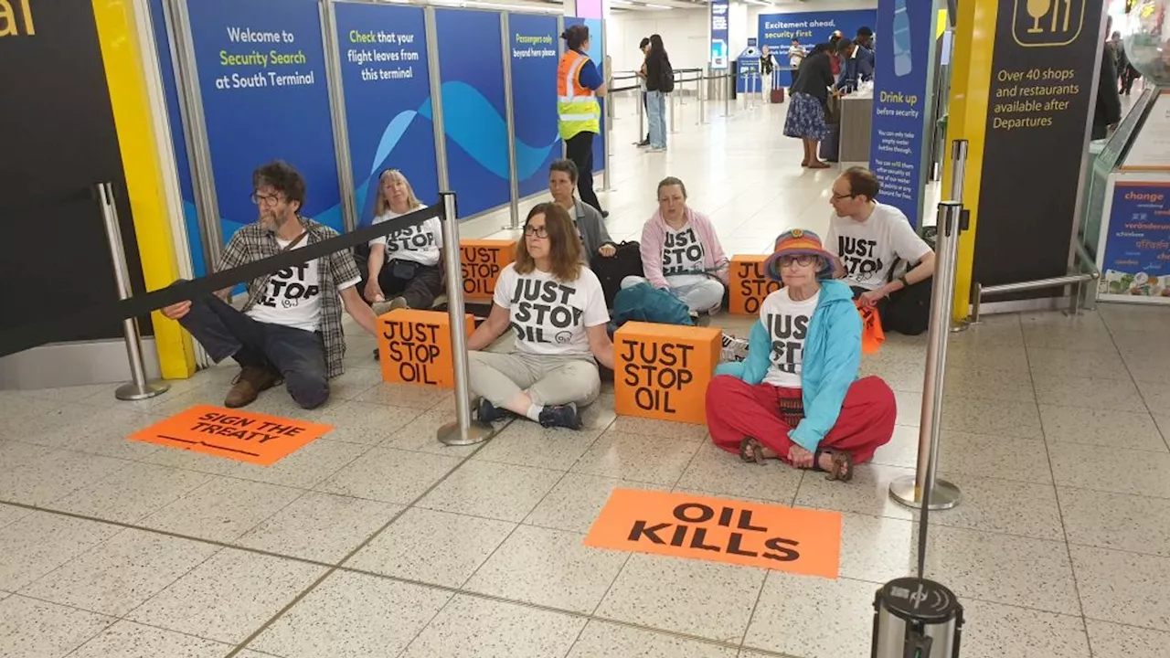 Just Stop Oil activists arrested at Gatwick airport after seven protest in front of departure gate