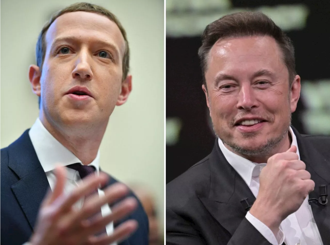 Déjà vu: Elon Musk challenges Mark Zuckerberg to a fight (again)