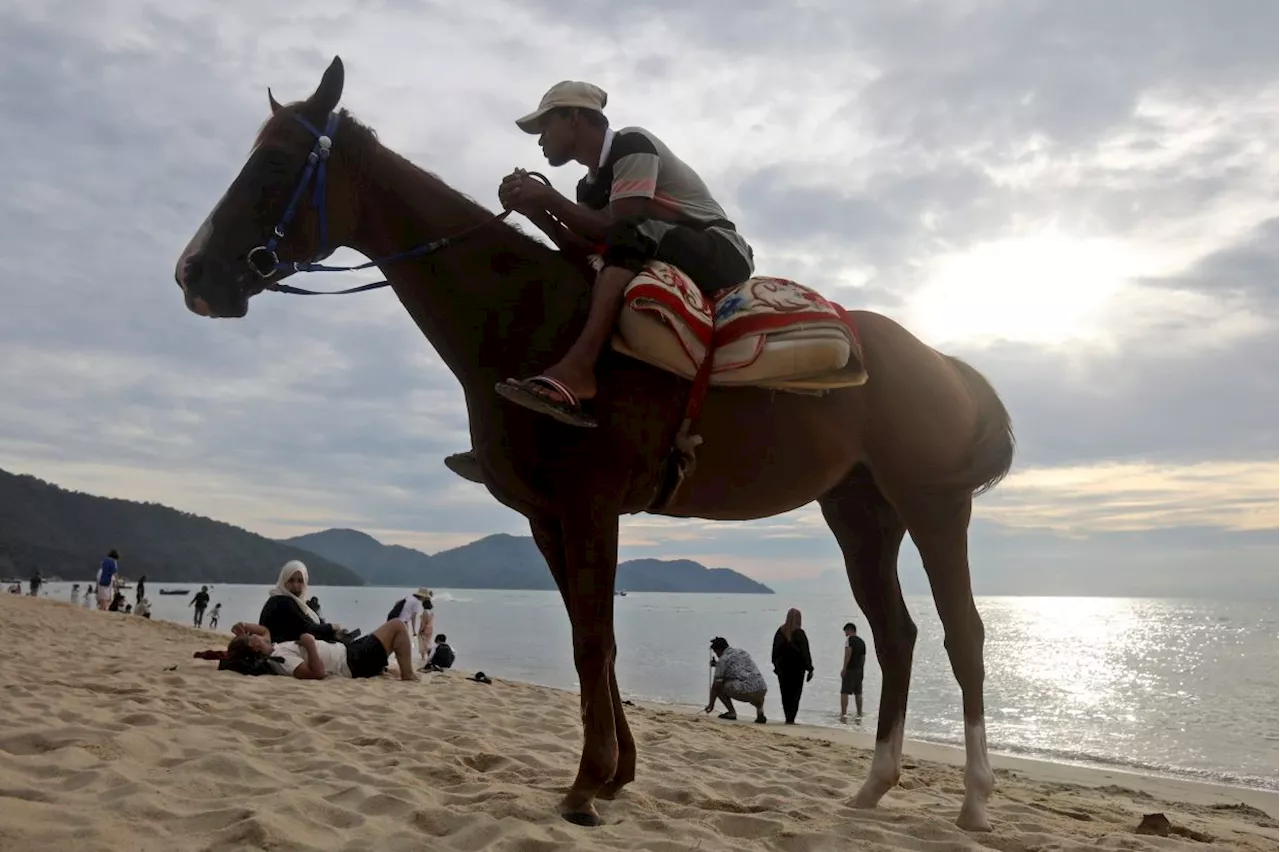 Penang bans horseback riding at Batu Ferringhi beach