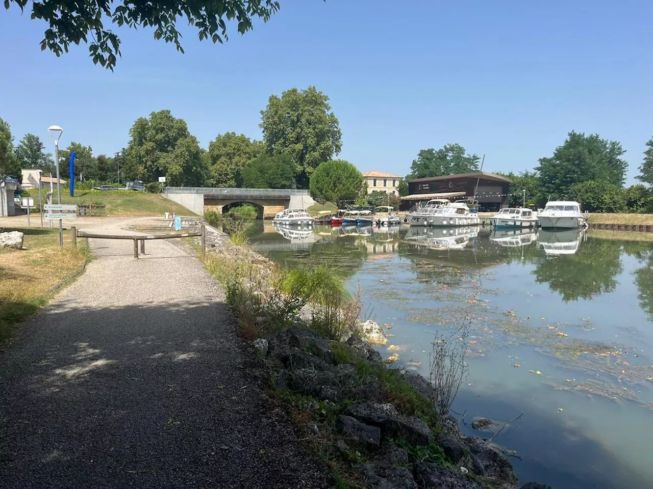 « C’est toute une vie qui reprend » : les bateaux circulent à nouveau sur le canal latéral à la Garonne