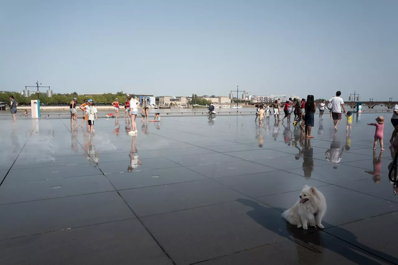 Canicule : à Bordeaux, chacun sa méthode pour éviter la chaleur