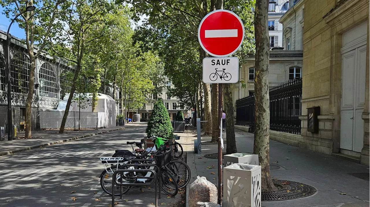 Das kann Berlin von Paris lernen: Kein Platz mehr für das Auto