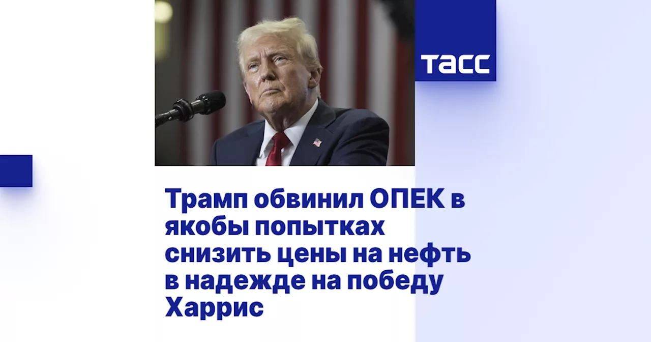 Трамп обвинил ОПЕК в якобы попытках снизить цены на нефть в надежде на победу Харрис