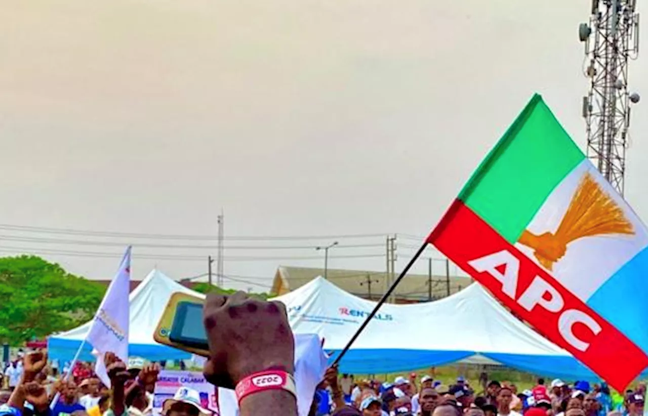 APC state chairs: Protest is plot to topple Tinubu’s government