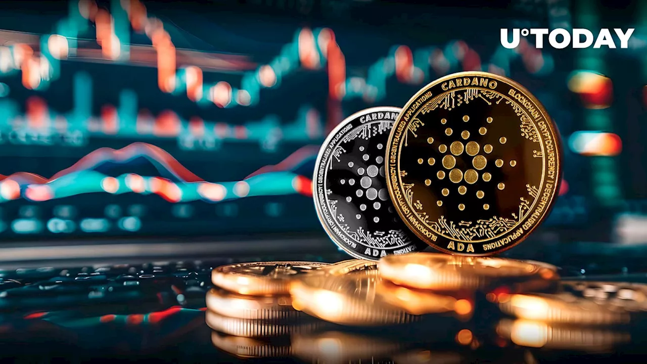 Cardano Skyrockets 300% in Funds Inflows as Bulls Take Charge