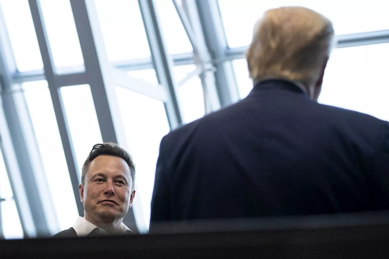 How Elon Musk came to endorse Donald Trump