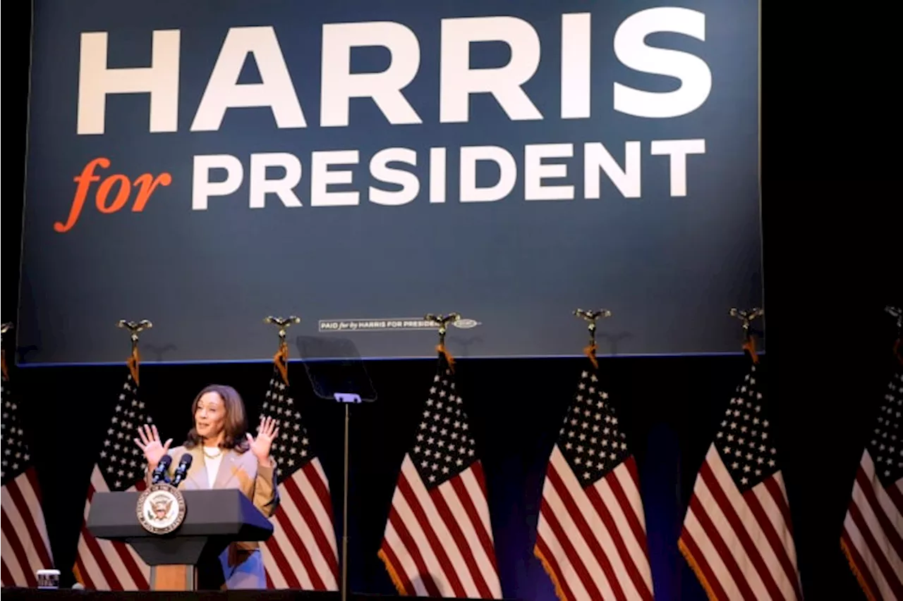 'White Dudes for Harris' is the latest in a series of Zoom gatherings backing the vice president