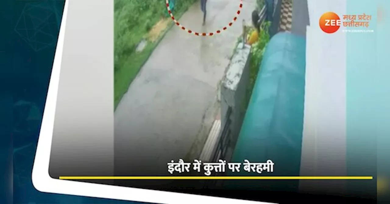 MP News: इंदौर में युवक की निर्दयता; कुत्तों को गोलियों से भूना, Video देख कांप जाएगी रूह