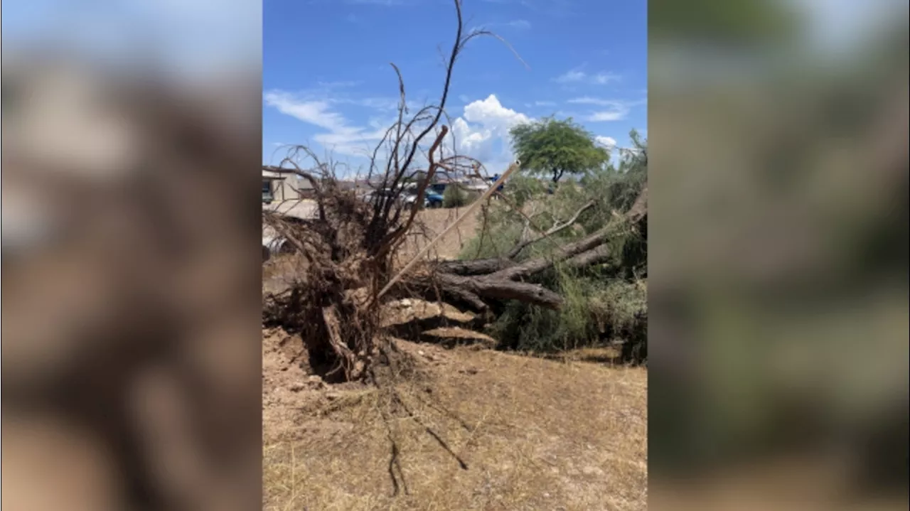 National Weather Service confirms tornado touched down in Tucson