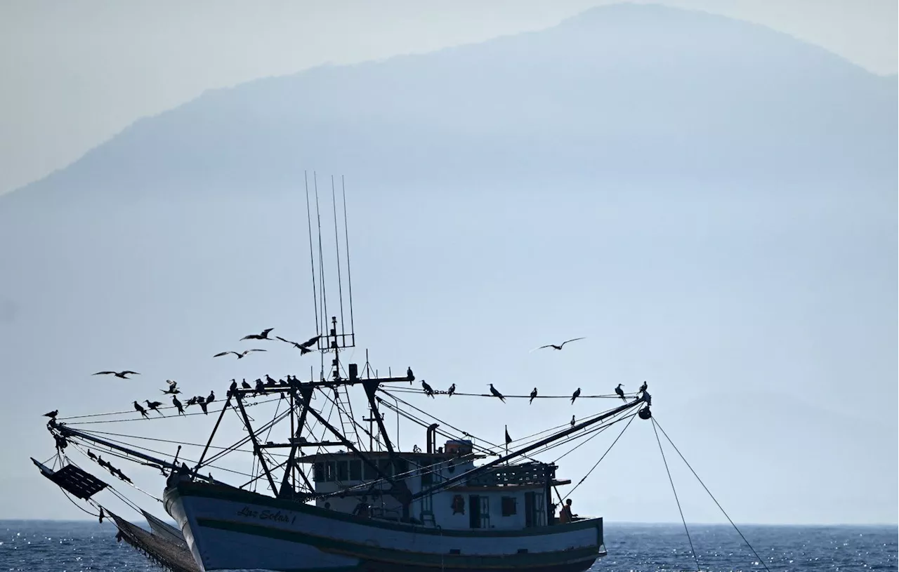 Portugal : Trois morts et trois disparus dans le naufrage d’un bateau de pêche