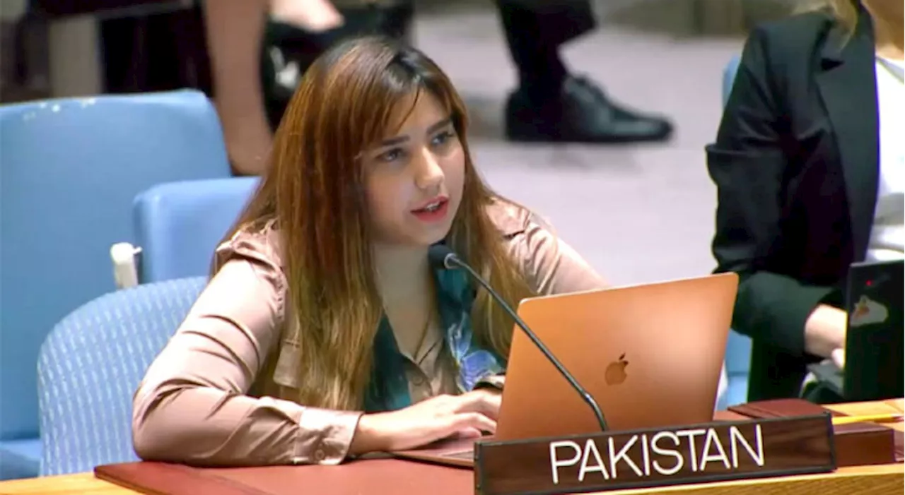 Pakistan rejects illegal annexation of IOJ&K, demands self-determination under UN resolutions