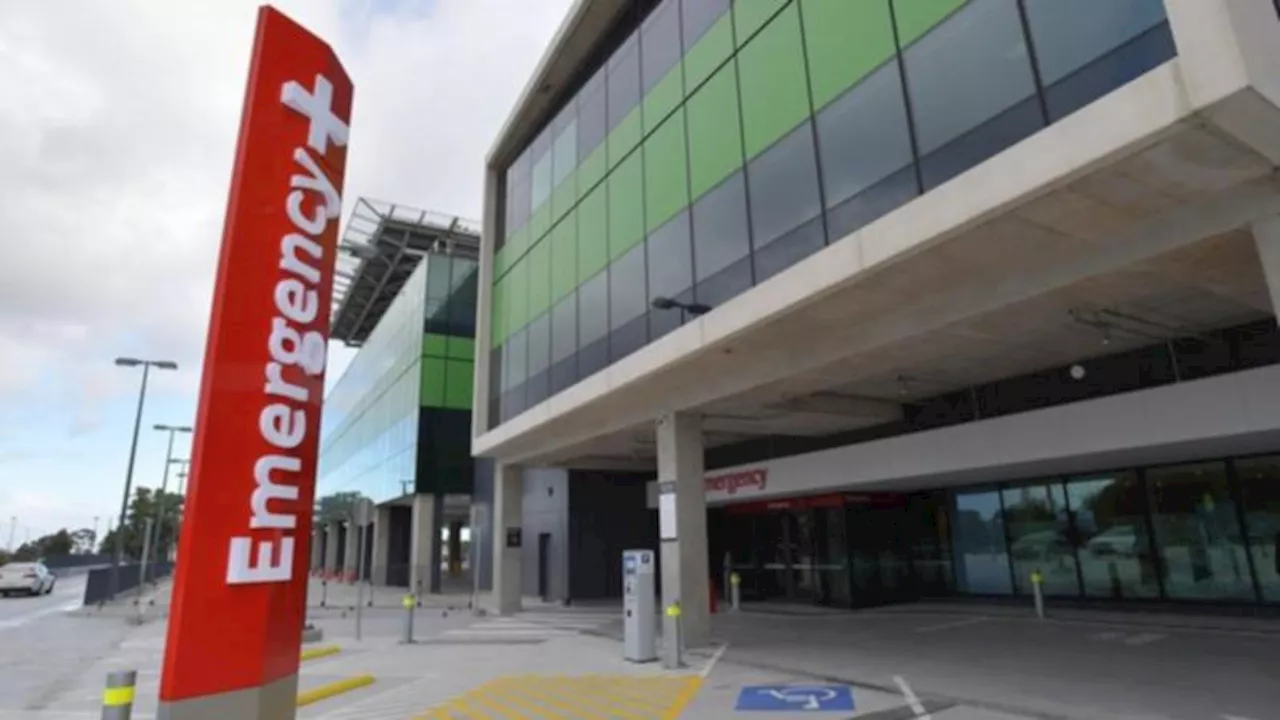 Desperate plea for action at Royal Adelaide Hospital following another attack on staff